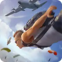 FF guide
