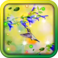 Colibri Spring 3D LWP