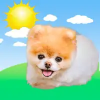 Boo Weather