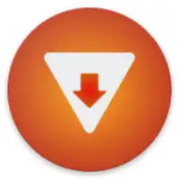 Download Videos from All Social Media - Vidzuo