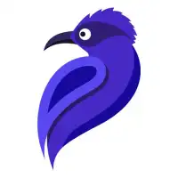 Bluebird VPN