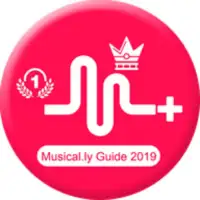Musical.ly 2019 Guide