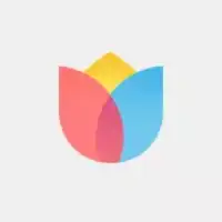 Mi Wallpaper Carousel