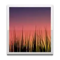 Live Wallpaper Picker