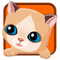 My Sweet Cat