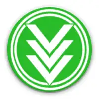 Video Downloader Quick