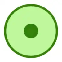 Cell Lab