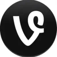Vine