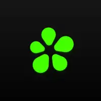 ICQ