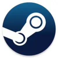 Steam