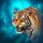 The Tiger