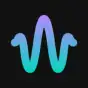 Wavelet