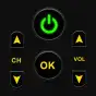 Universal TV Remote Control