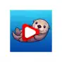 NouTube